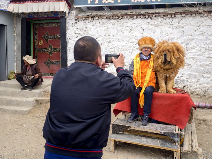 Fever for Photography in China